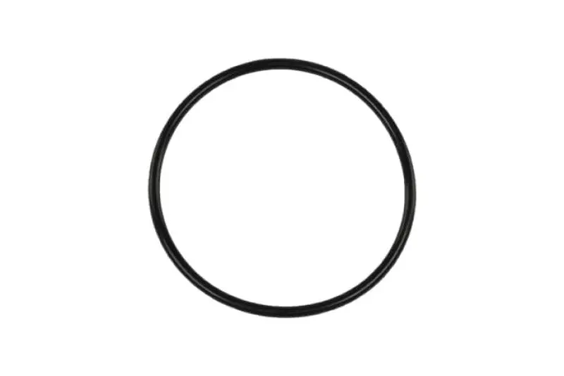 Turbosmart Bov Race Port Flange O-Ring 1