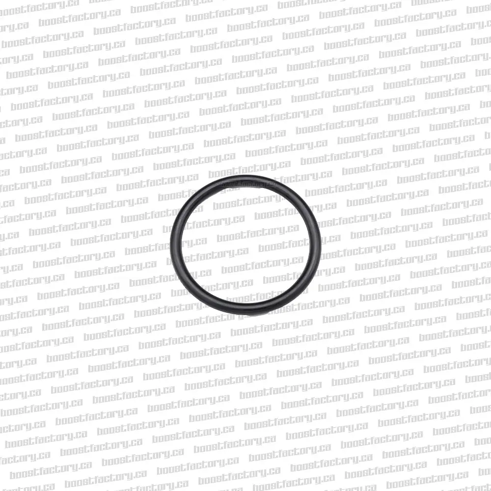 Genuine Nissan - R32 Fuel Tank Neck Seal - 17342-01L10 1