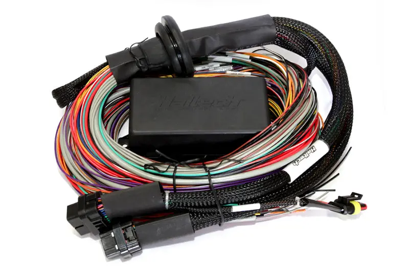 Haltech Elite 2500 & 2500 T 8Ft Premium Universal Wire-In Harness - Ht-141304 1