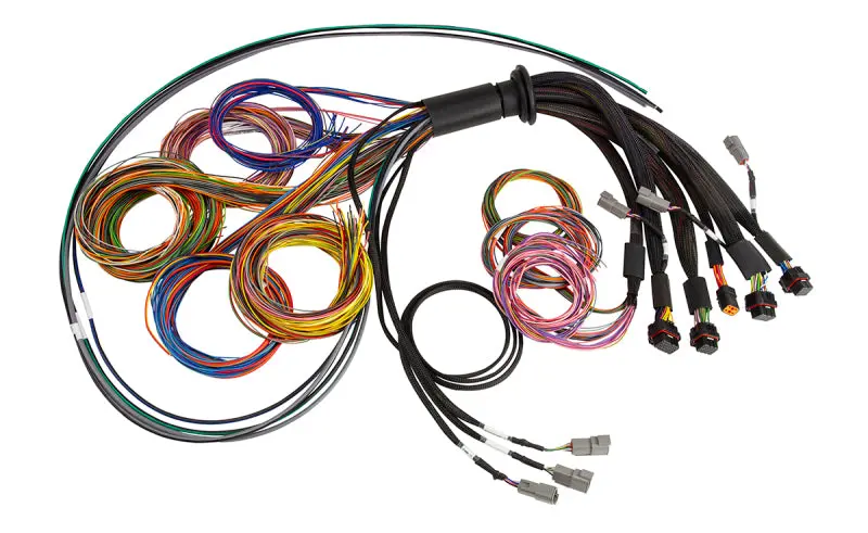 Haltech Nexus R5 Universal Wire-In Harness - 2.5M (8Ft) 1