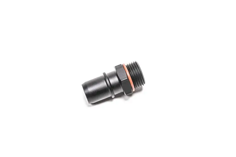 Radium Engineering 10An Orb To .750 Sae Male 1