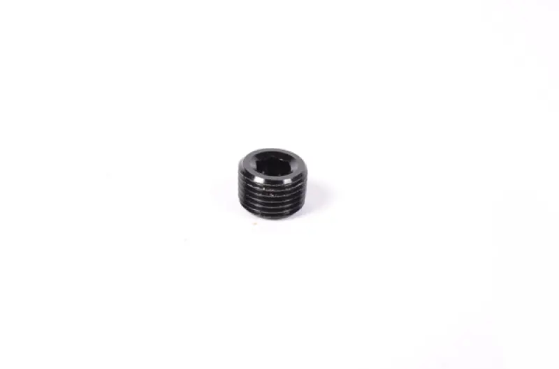 Radium Engineering 1/8In Npt Plug - 14-0172 1