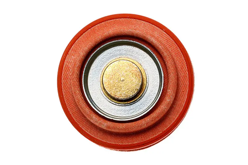 Radium Engineering Diaphragm Service Replacement Fpd 1
