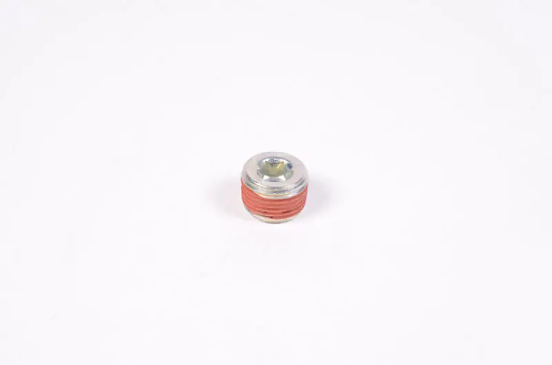 Radium Engineering 3/8In Npt Plug 1