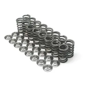 Brian Crower Toyota 7Mgte/7Mge Single Spring & Titanium Retainer Kit 1