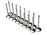 Brian Crower Mitsubishi 4B11t Evolution X 29Mm Exhaust Valves 1